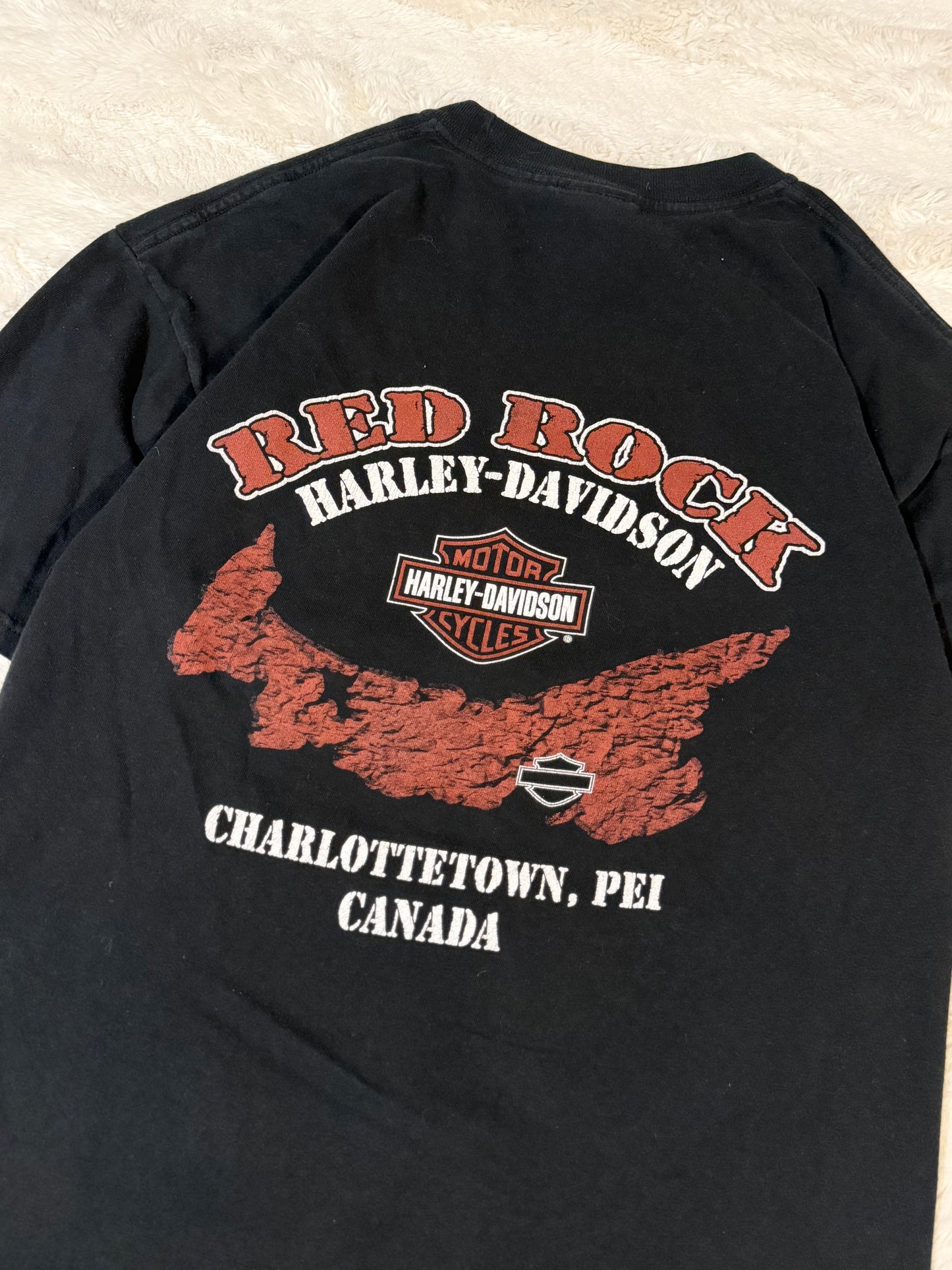 2003 Harley Davidson Wolf Tee (L)