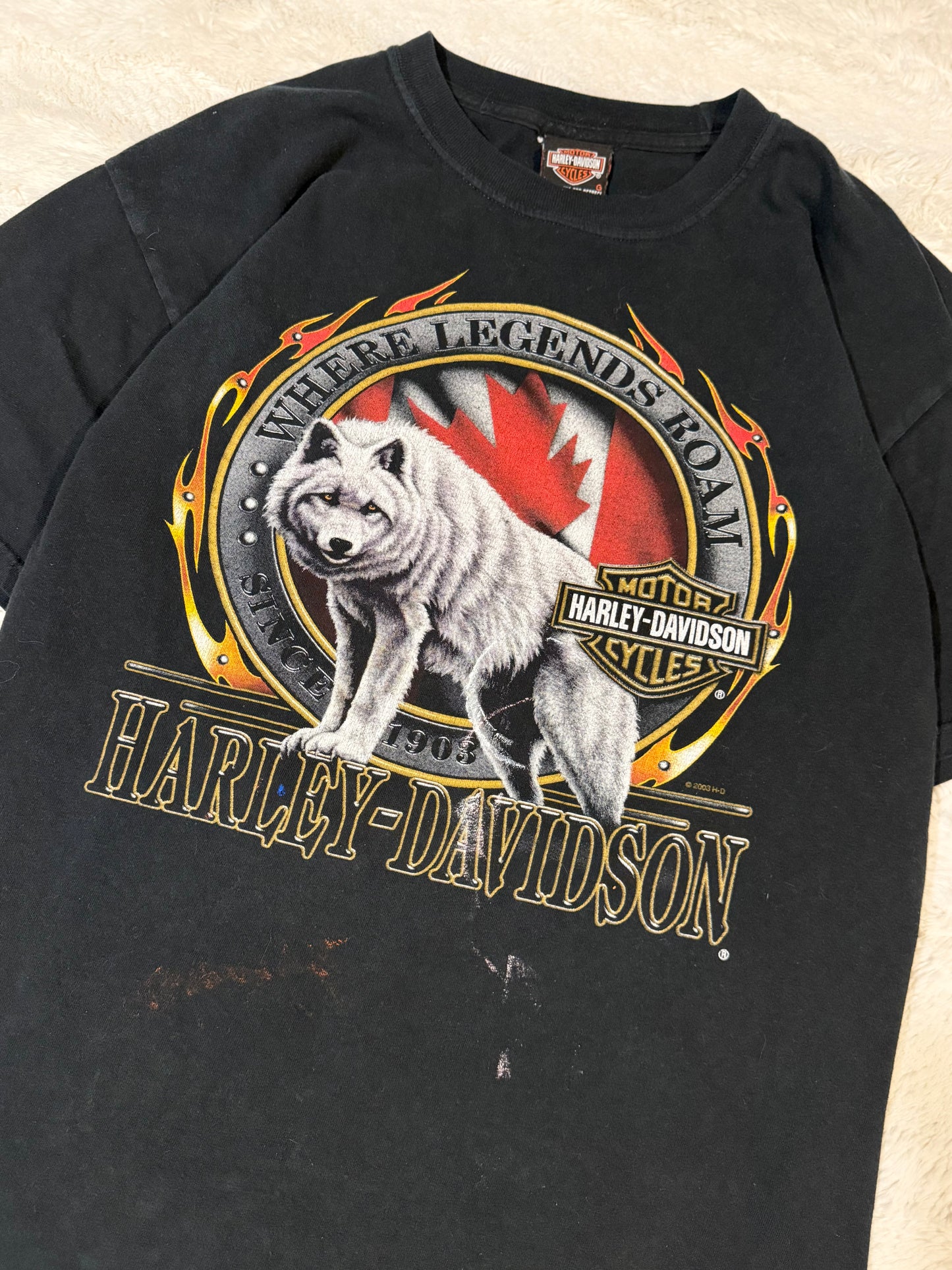 2003 Harley Davidson Wolf Tee (L)