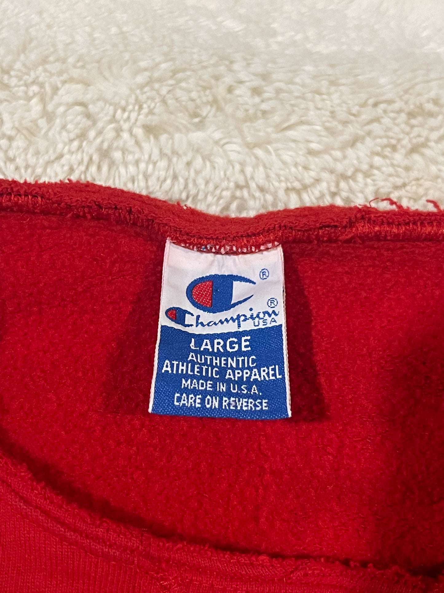 90s Champion Crewneck (L)