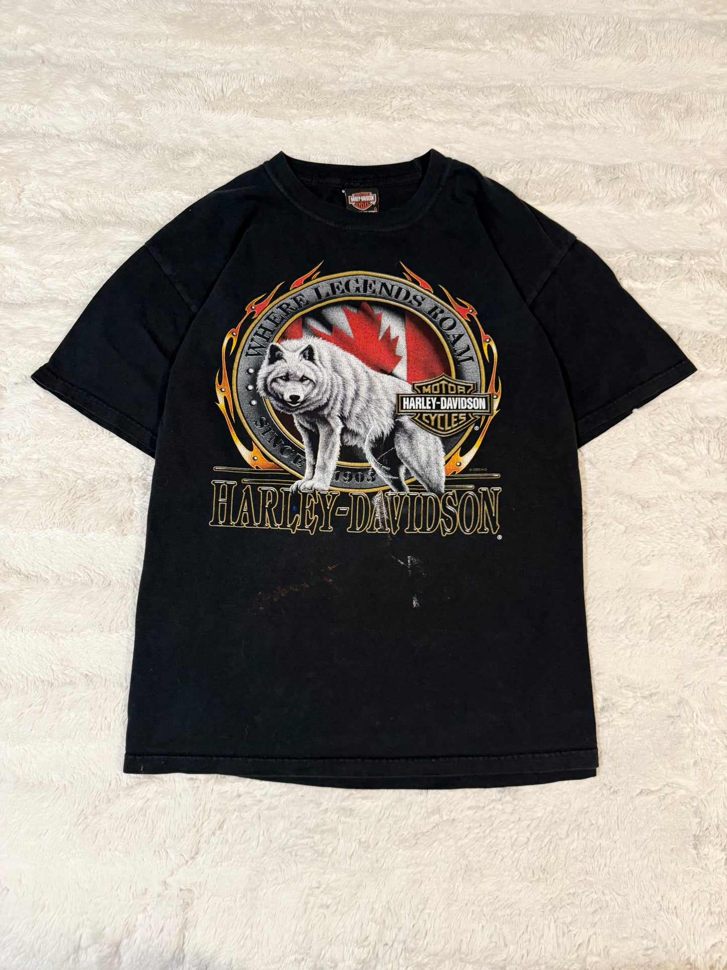 2003 Harley Davidson Wolf Tee (L)