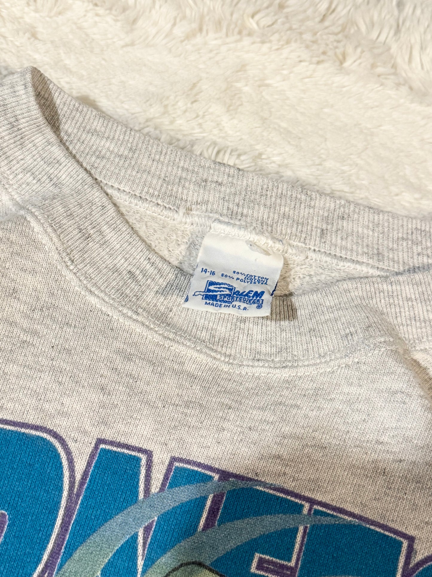 90s Charolette Hornets Salem Wrap Around Crewneck (S)