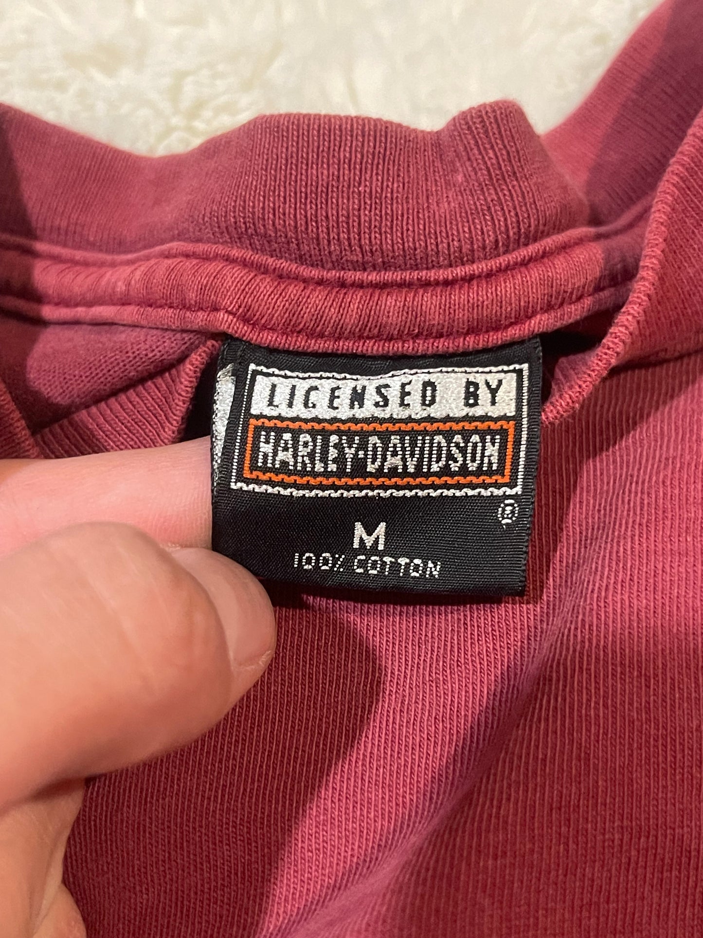 90s Single Stitch Harley Davidson Tee (M)