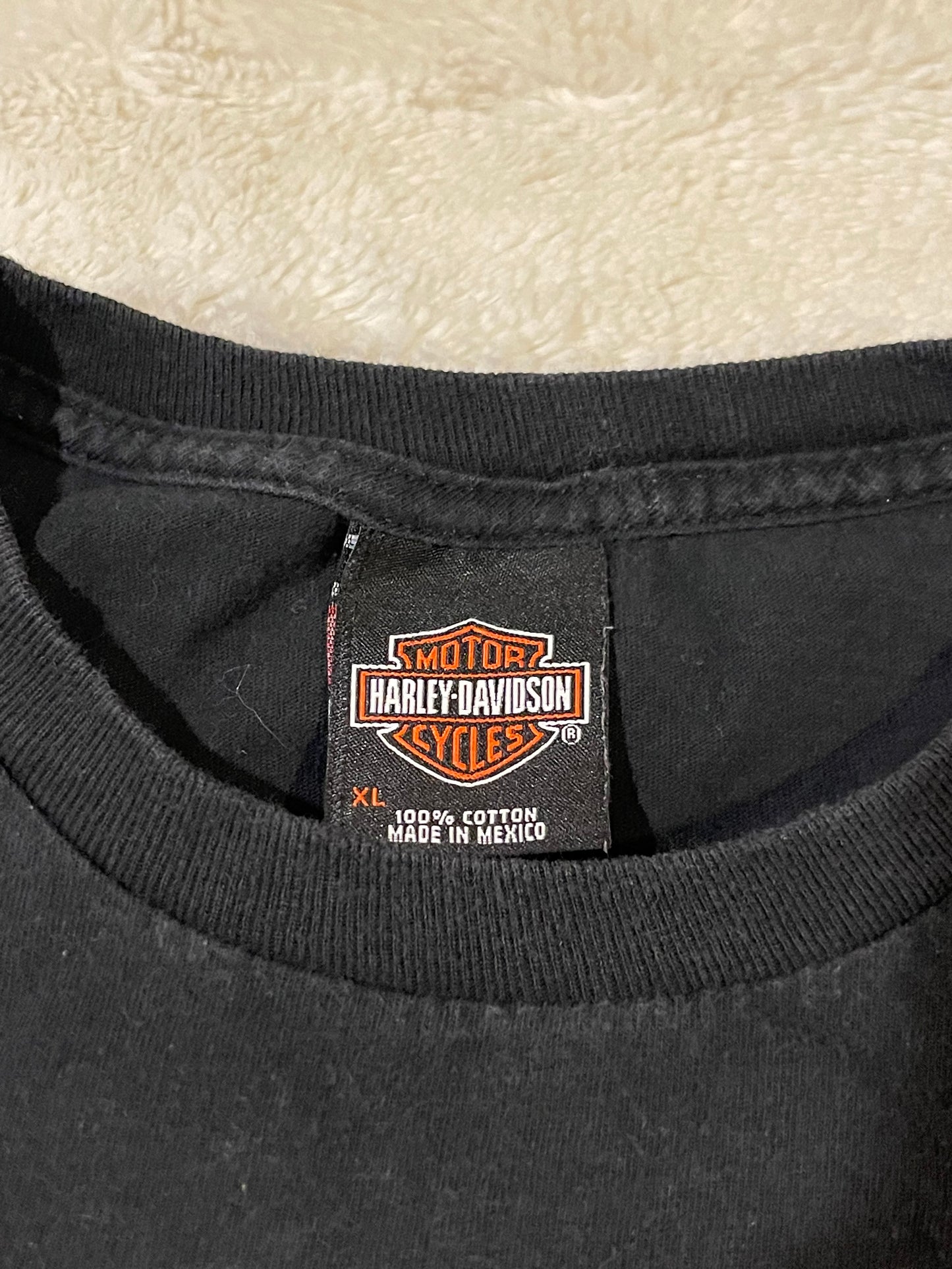 2011 Harley Davidson Tee (XL)