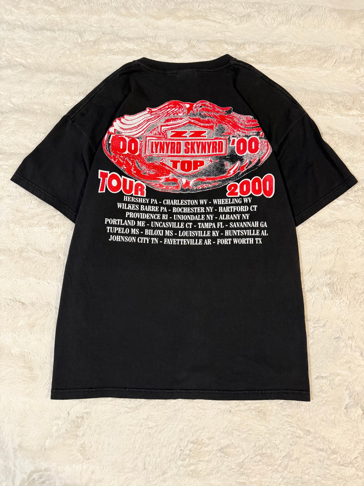 2000 ZZ-Top & Lynyrd Skynyrd Band Tee (XL)