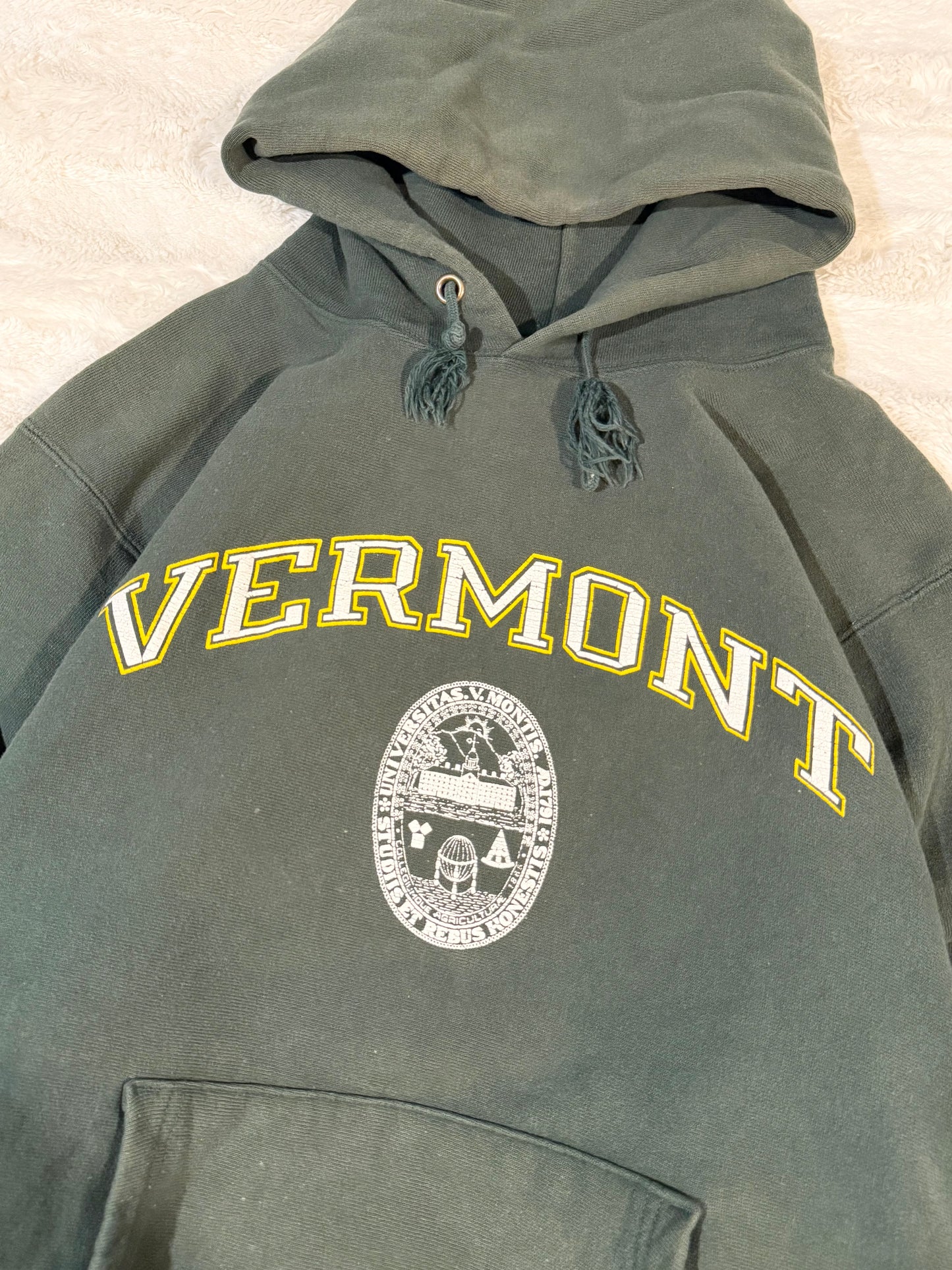 90s Vermont Champion Reverse Weave Hoodie (XL)
