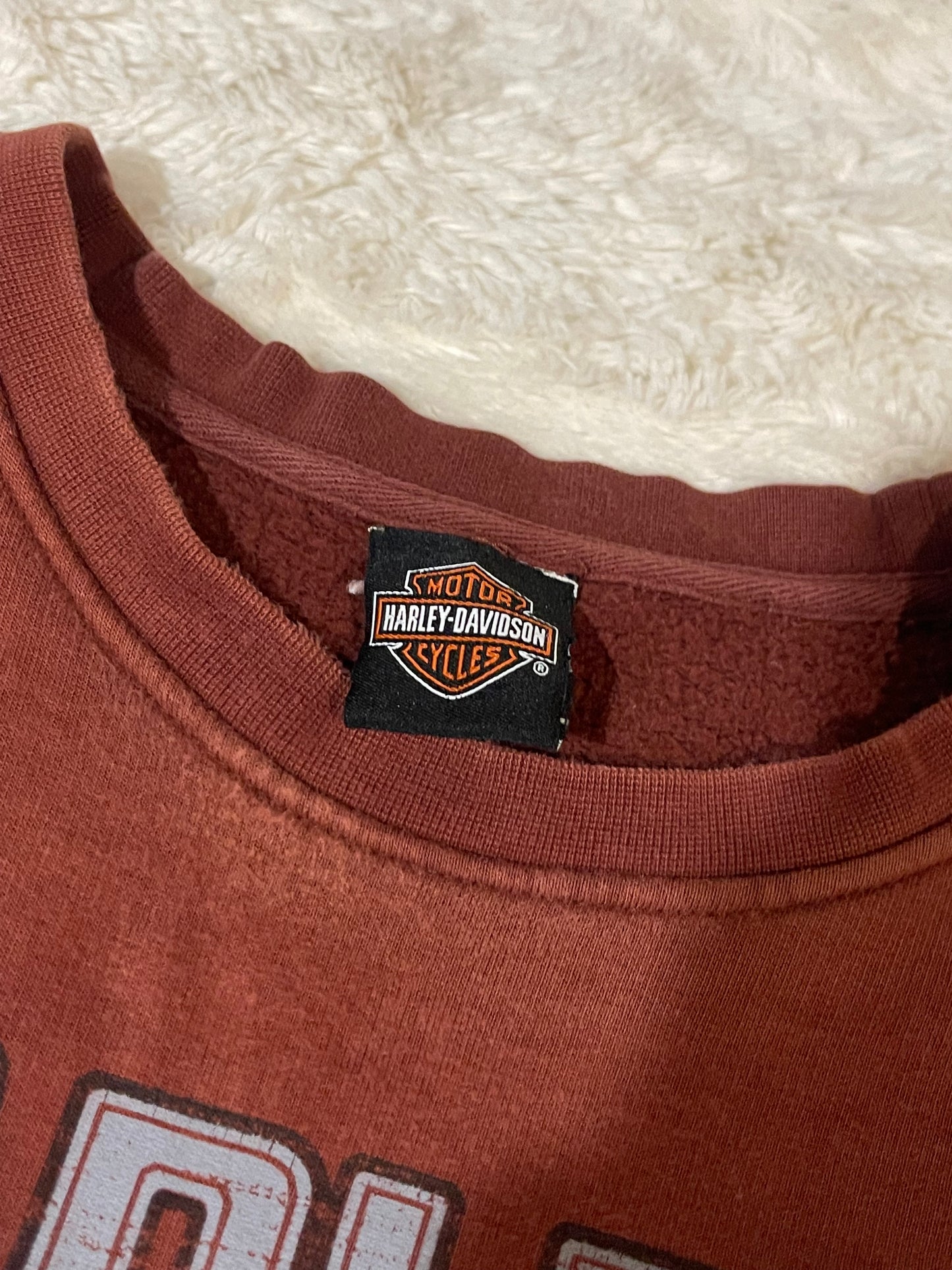 2010 Harley Davidson Crewneck (XL)