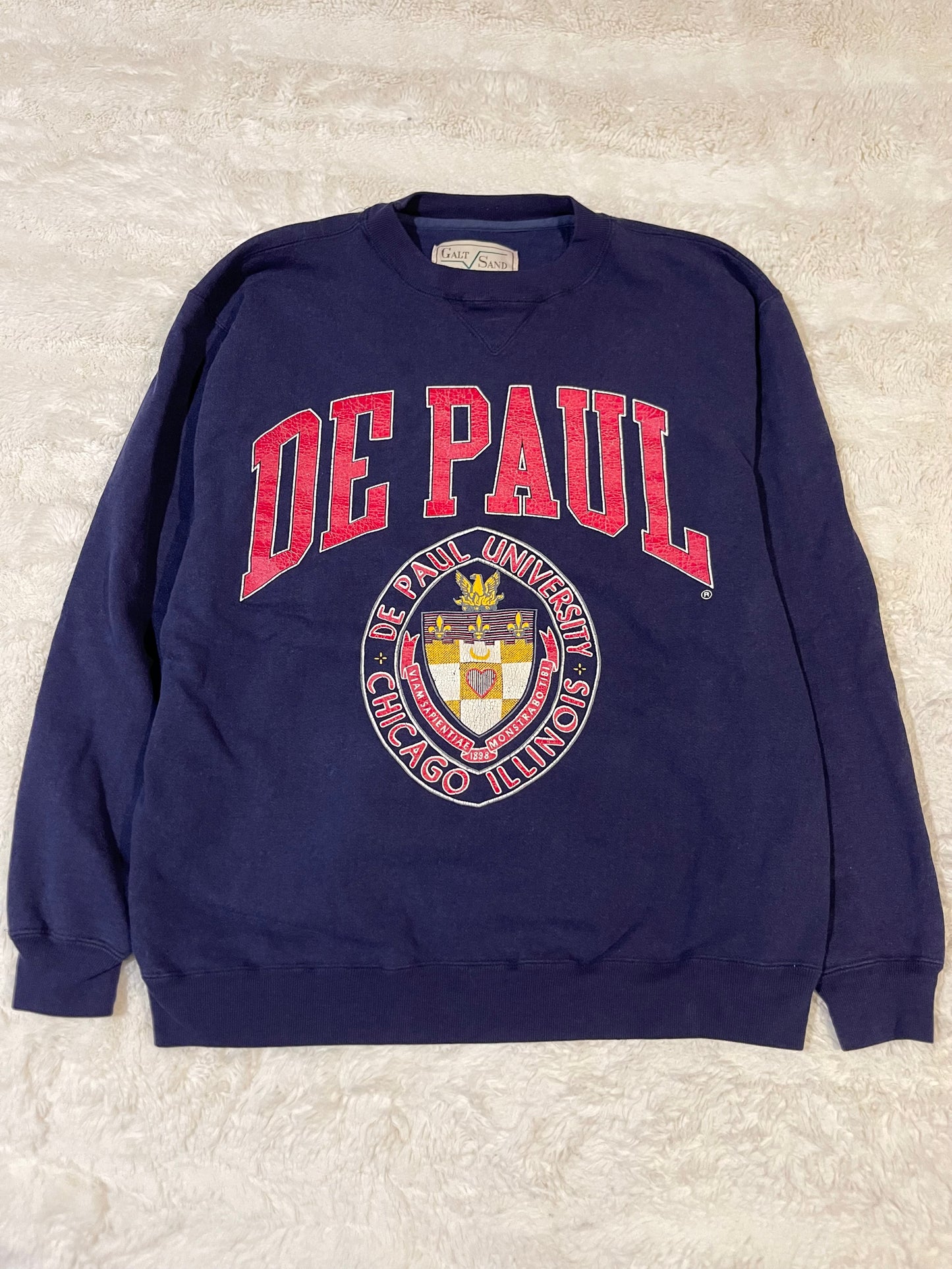 90s De Paul University Crewneck (L)