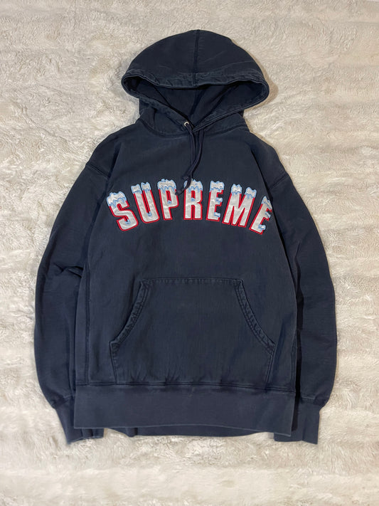 Supreme Frost Hoodie (M)