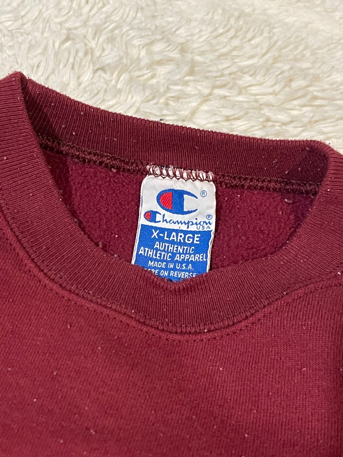 90s Carnegie Melon Champion Crewneck (XL)