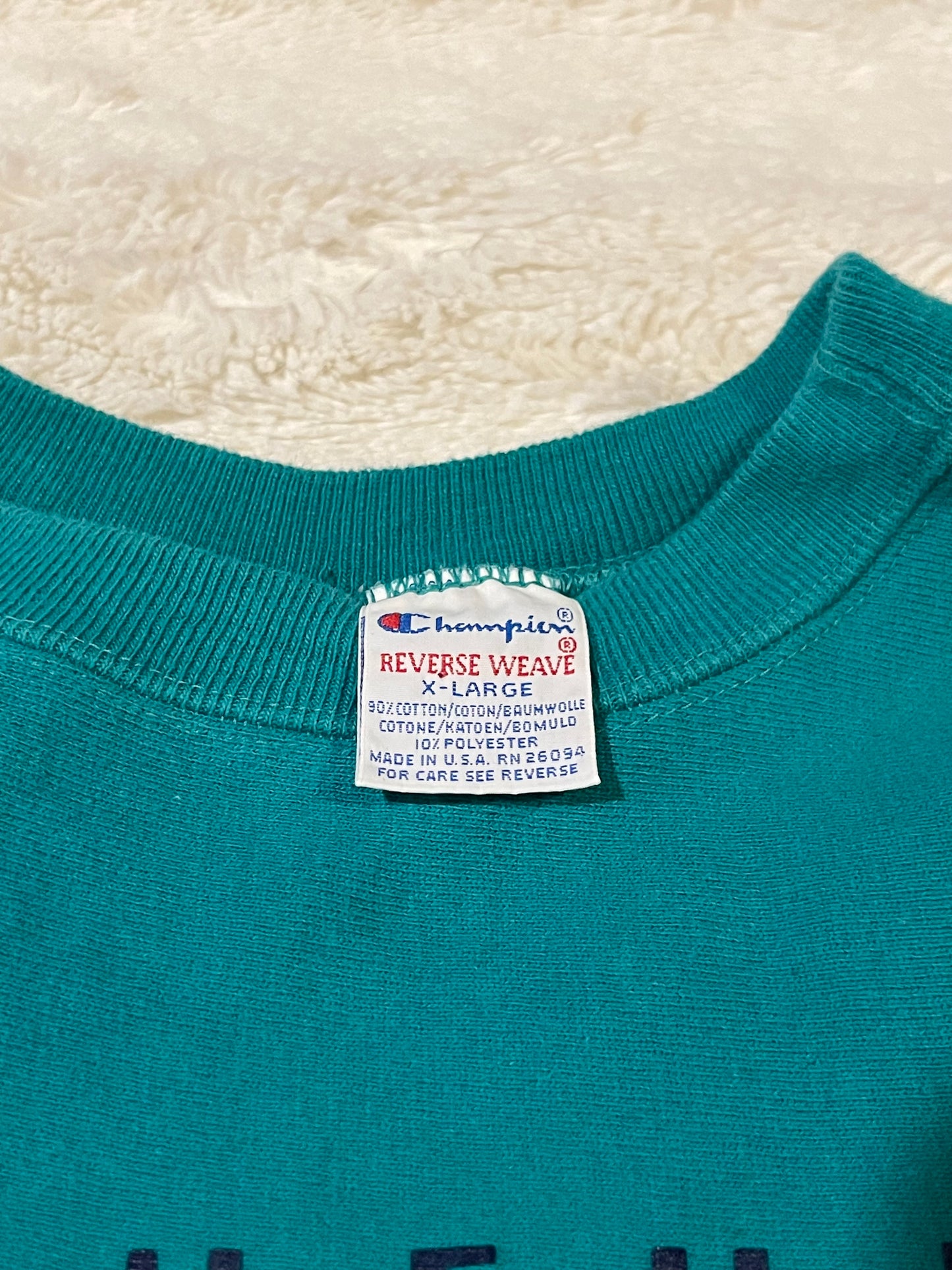 90s Teal Stonehill College Champion Reverse Weave Crewneck (XL)