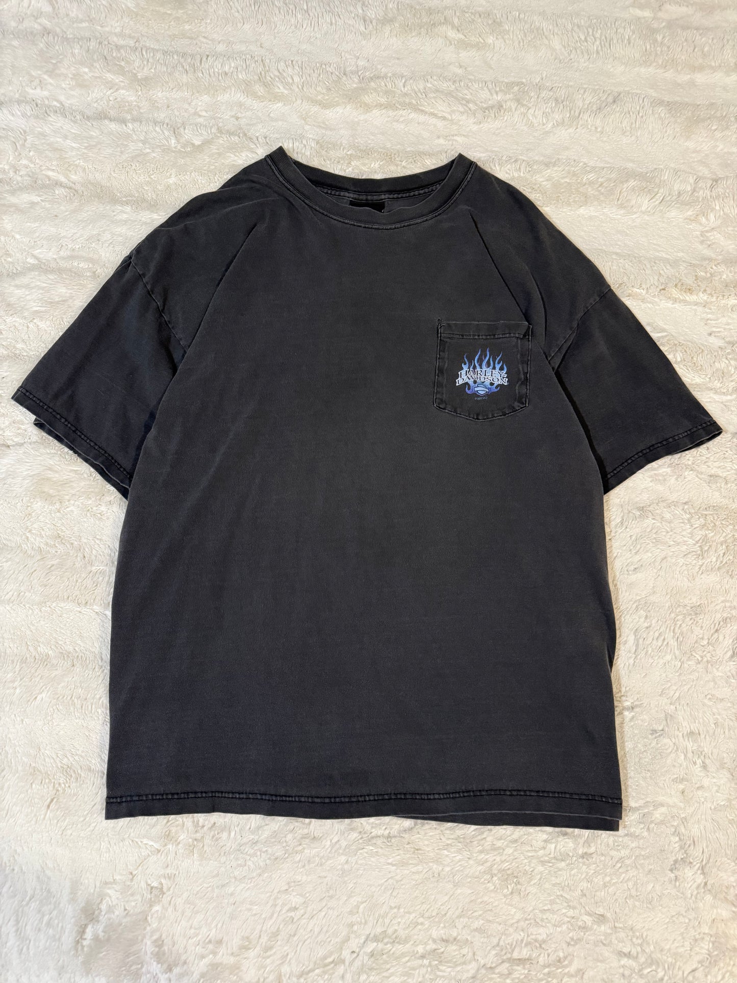 2000 Harley Davidson Tee (XXL)