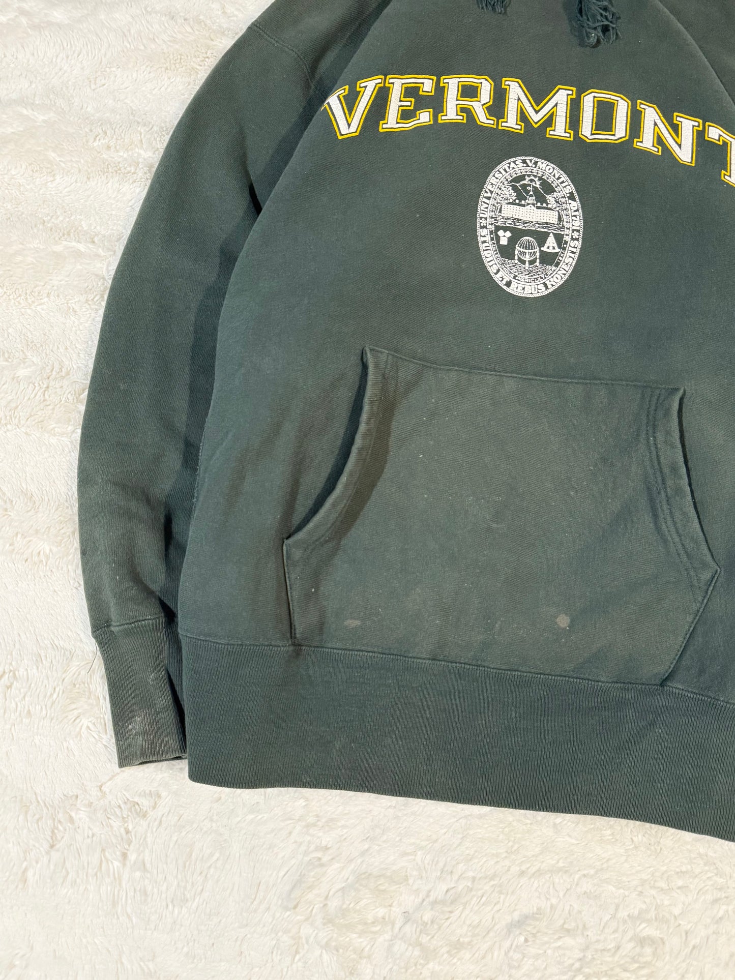 90s Vermont Champion Reverse Weave Hoodie (XL)