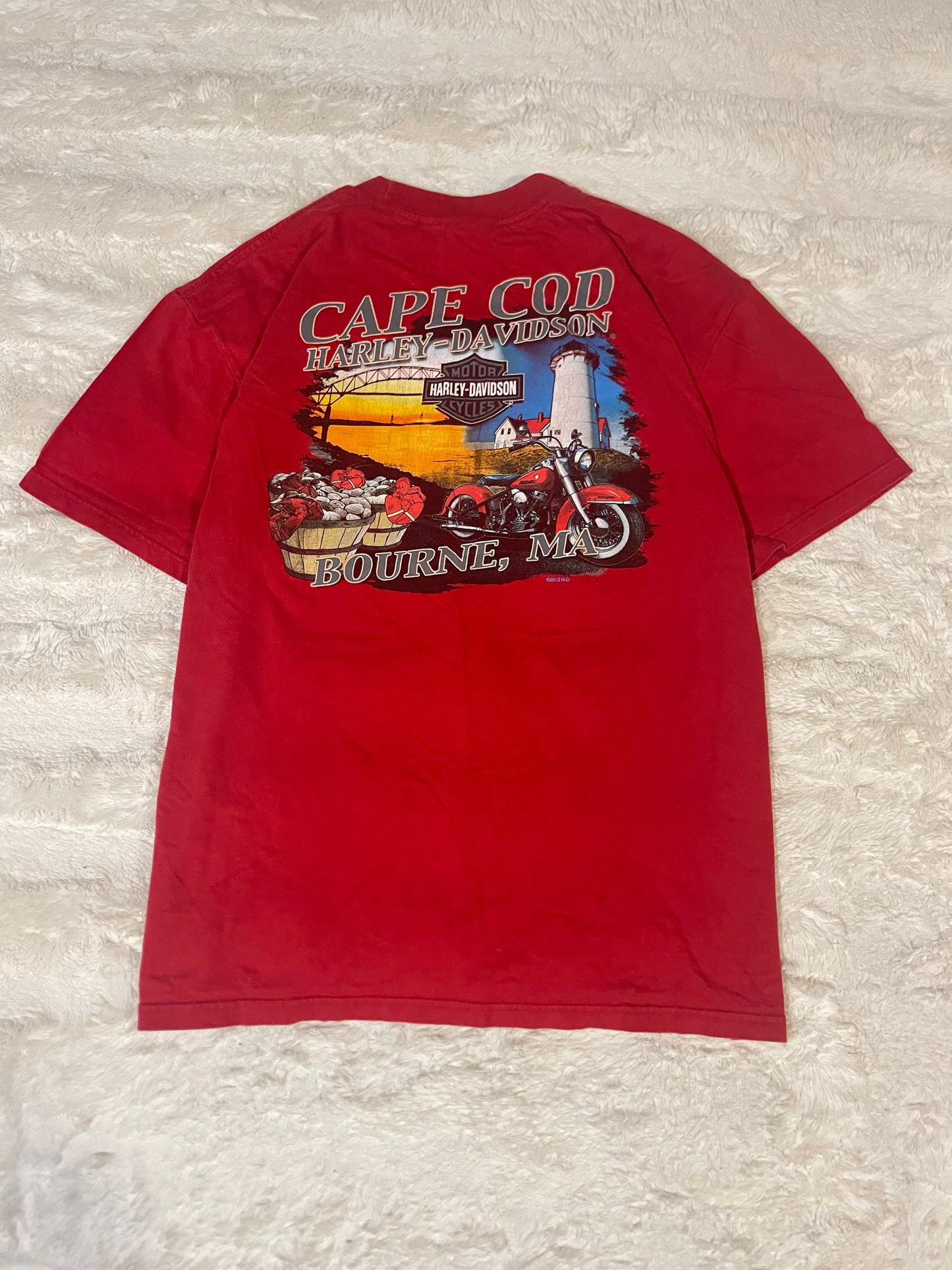 2012 Harley Davidson Tee (XL)