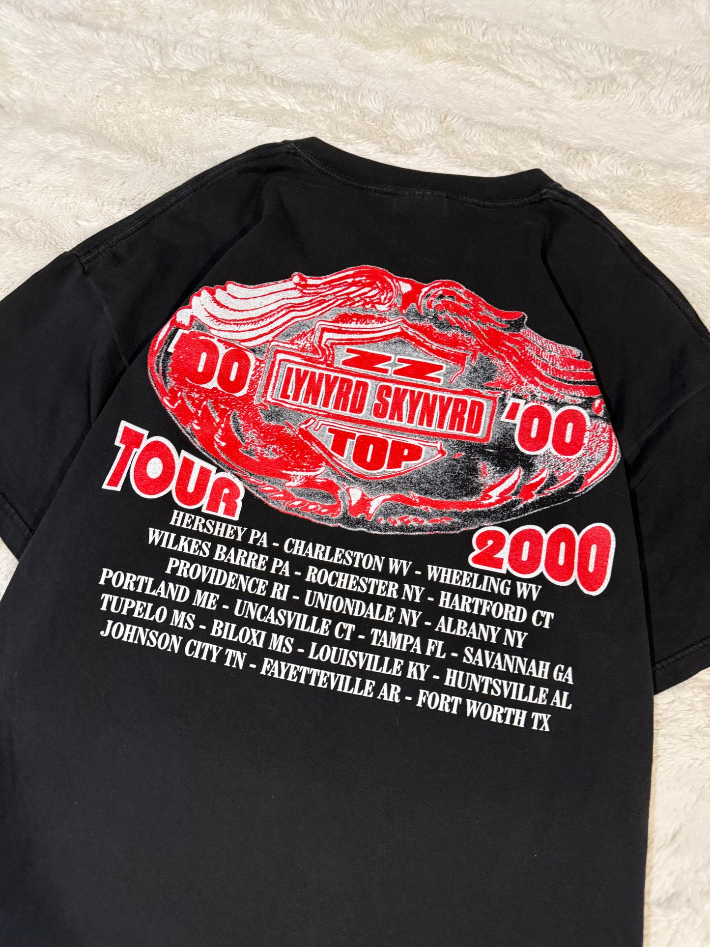 2000 ZZ-Top & Lynyrd Skynyrd Band Tee (XL)