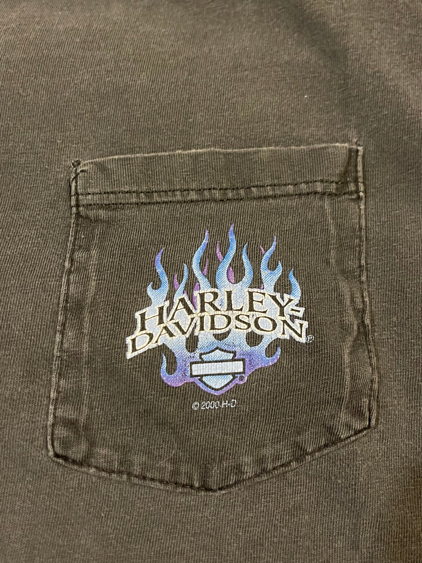 2000 Harley Davidson Tee (XL)